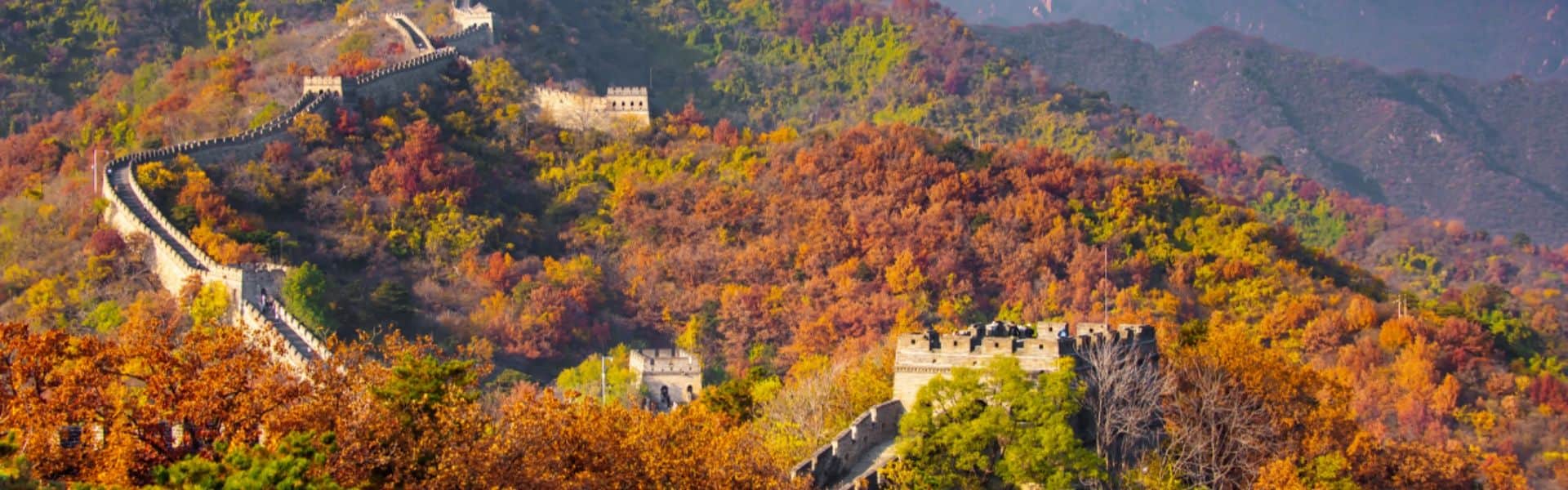 banner_2