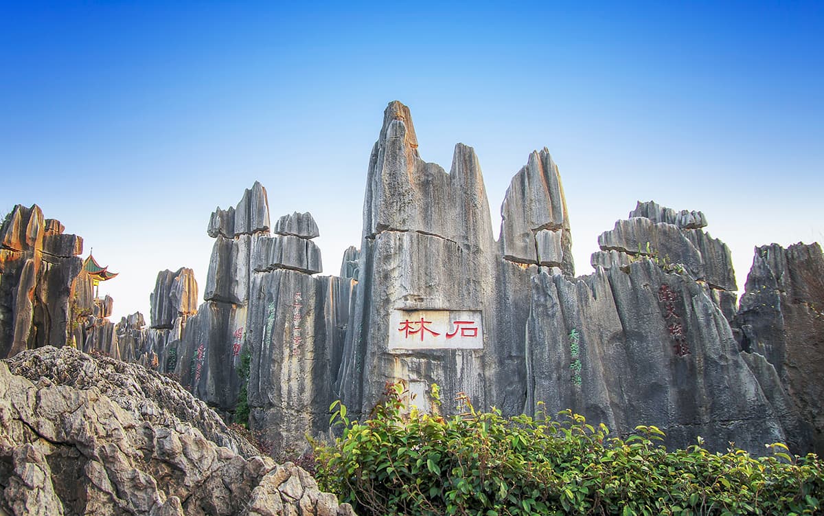 Stone Forest