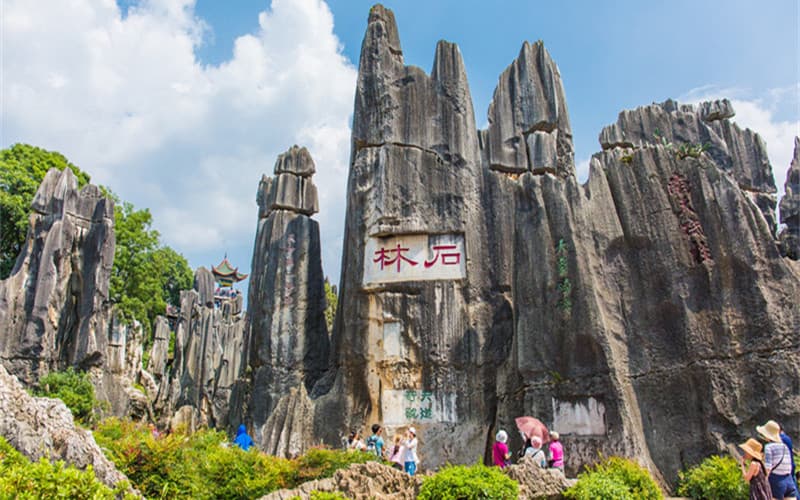 Stone Forest