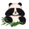 panda