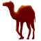 骆驼
