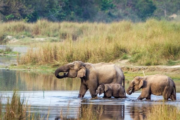 Chiwan National Park