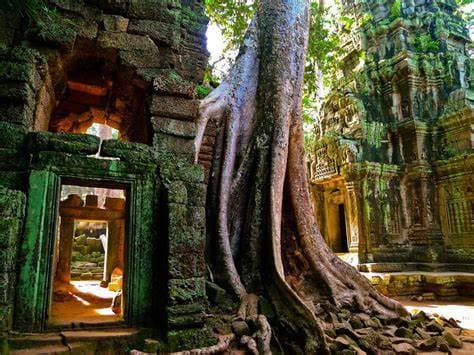 Ta Prohm 2