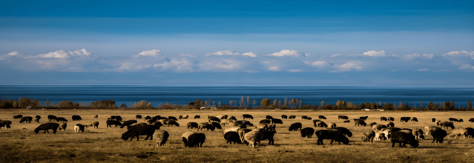 First-Time Traveler's Guide to Central Asia