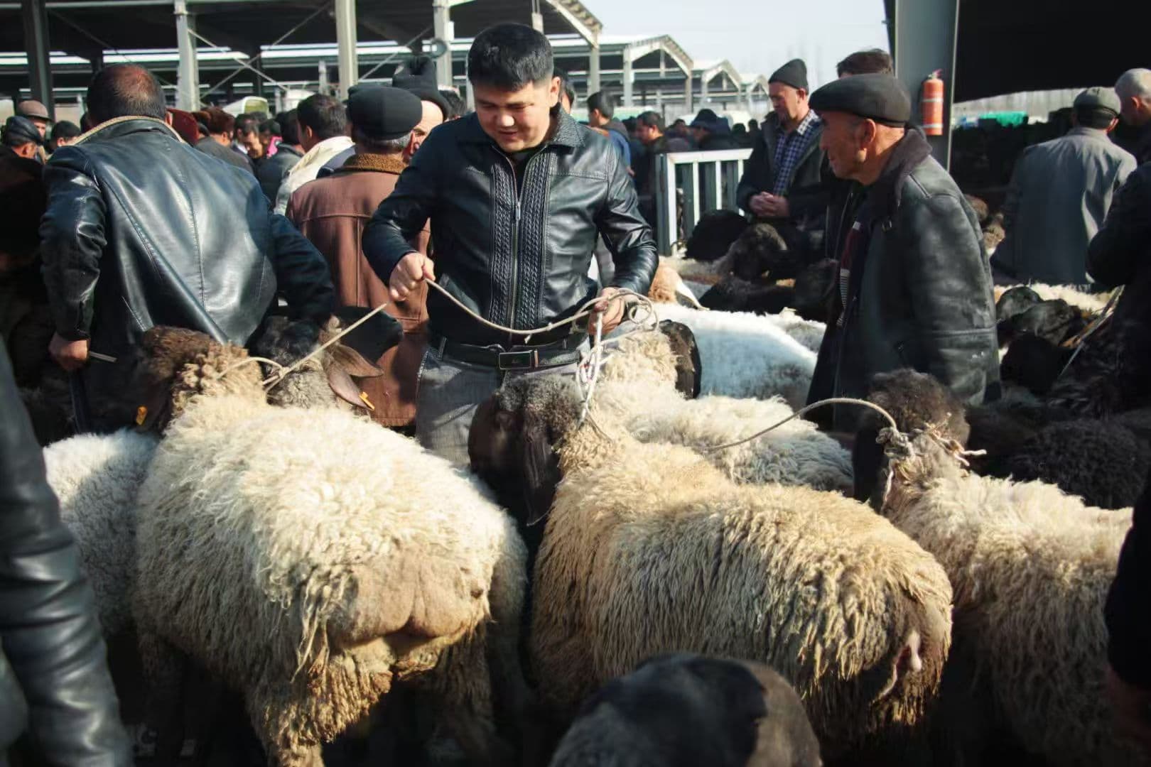 微信图片_20251217112532_12_27