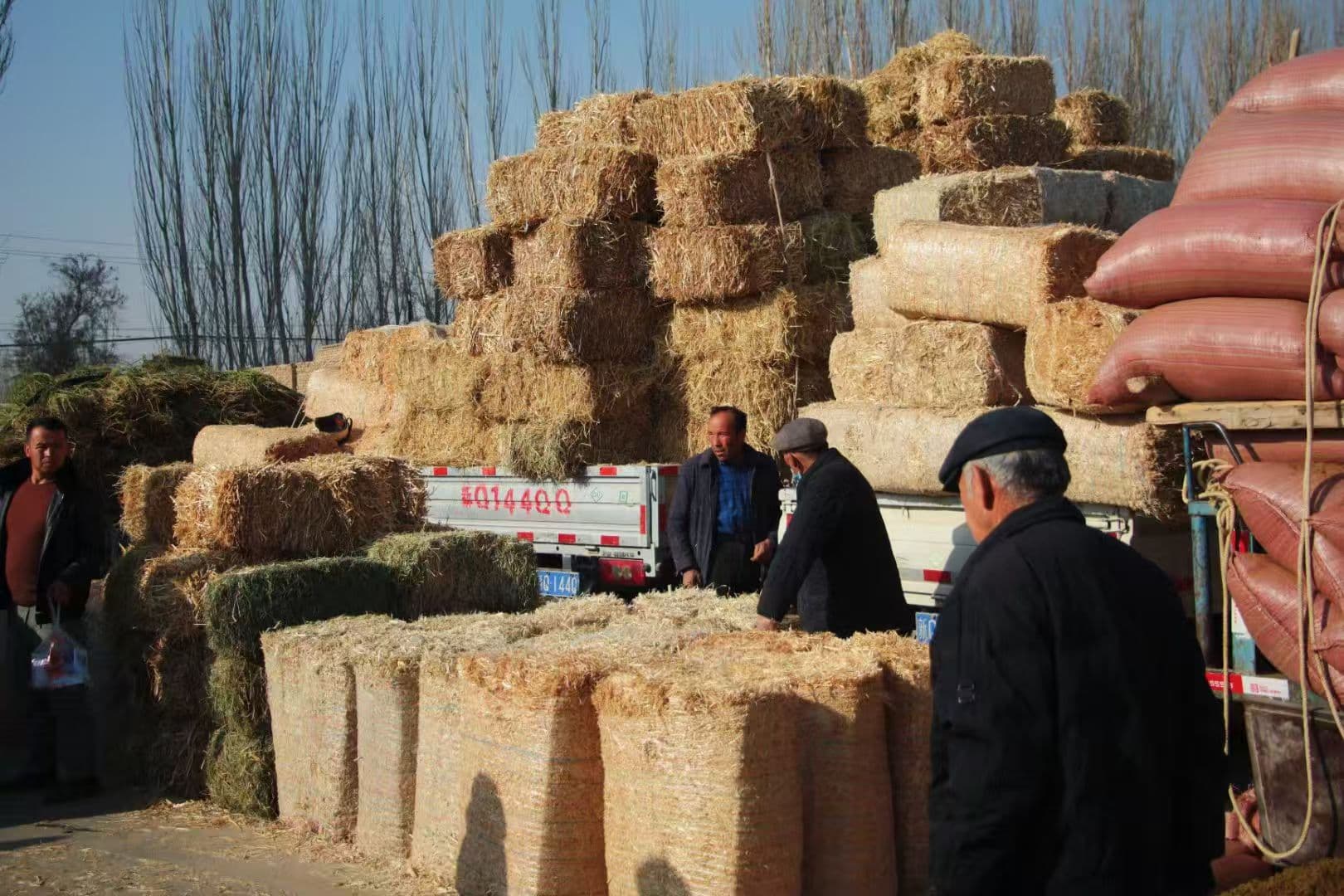 微信图片_20251217112525_10_27