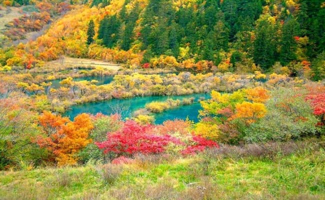 Jiuzhaigou4