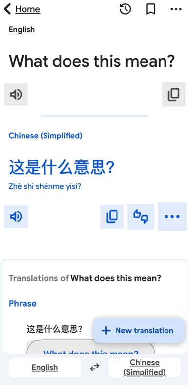 google translate 2.png