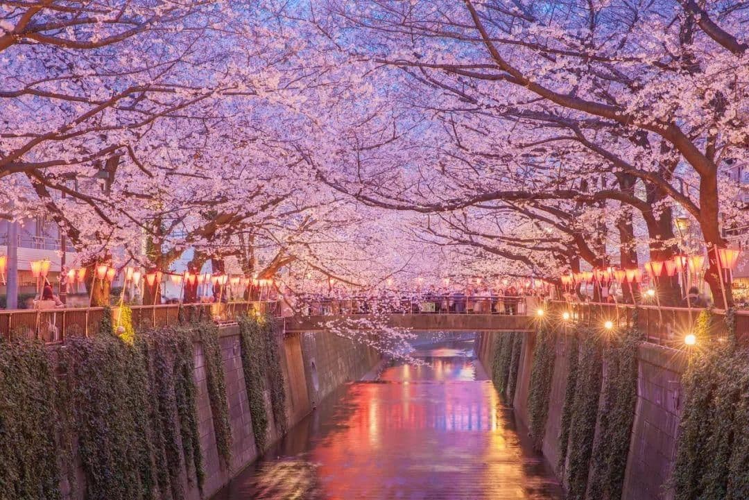 Tokyo 