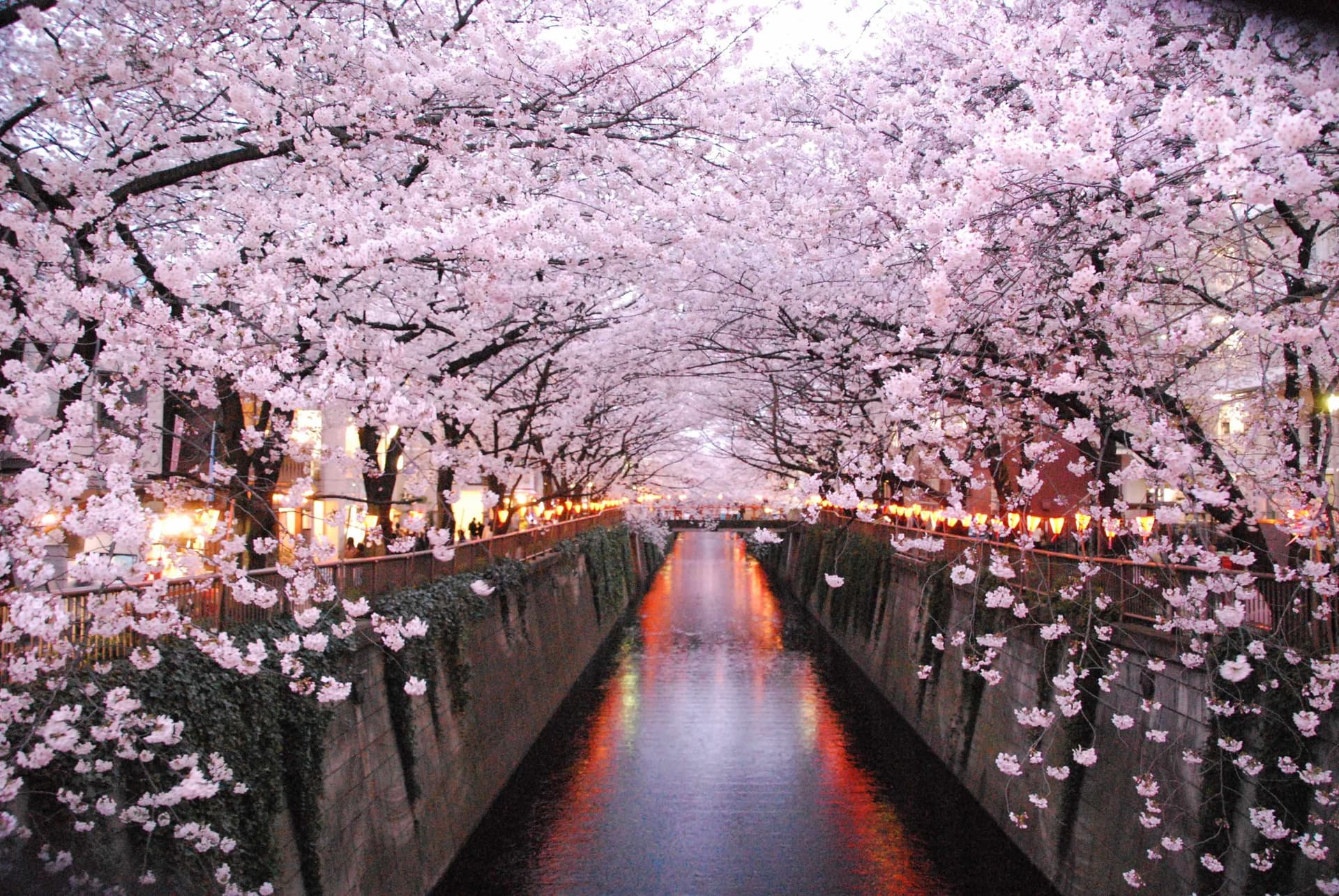 Tokyo