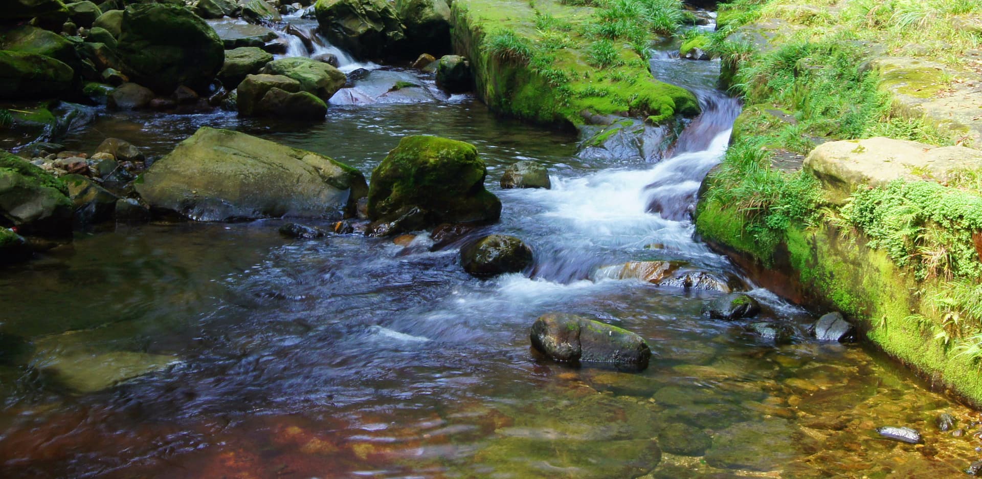 Zhangjiajie 4