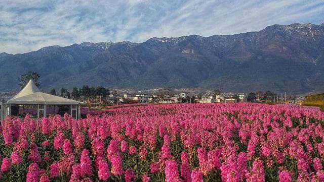 Yunnan 1