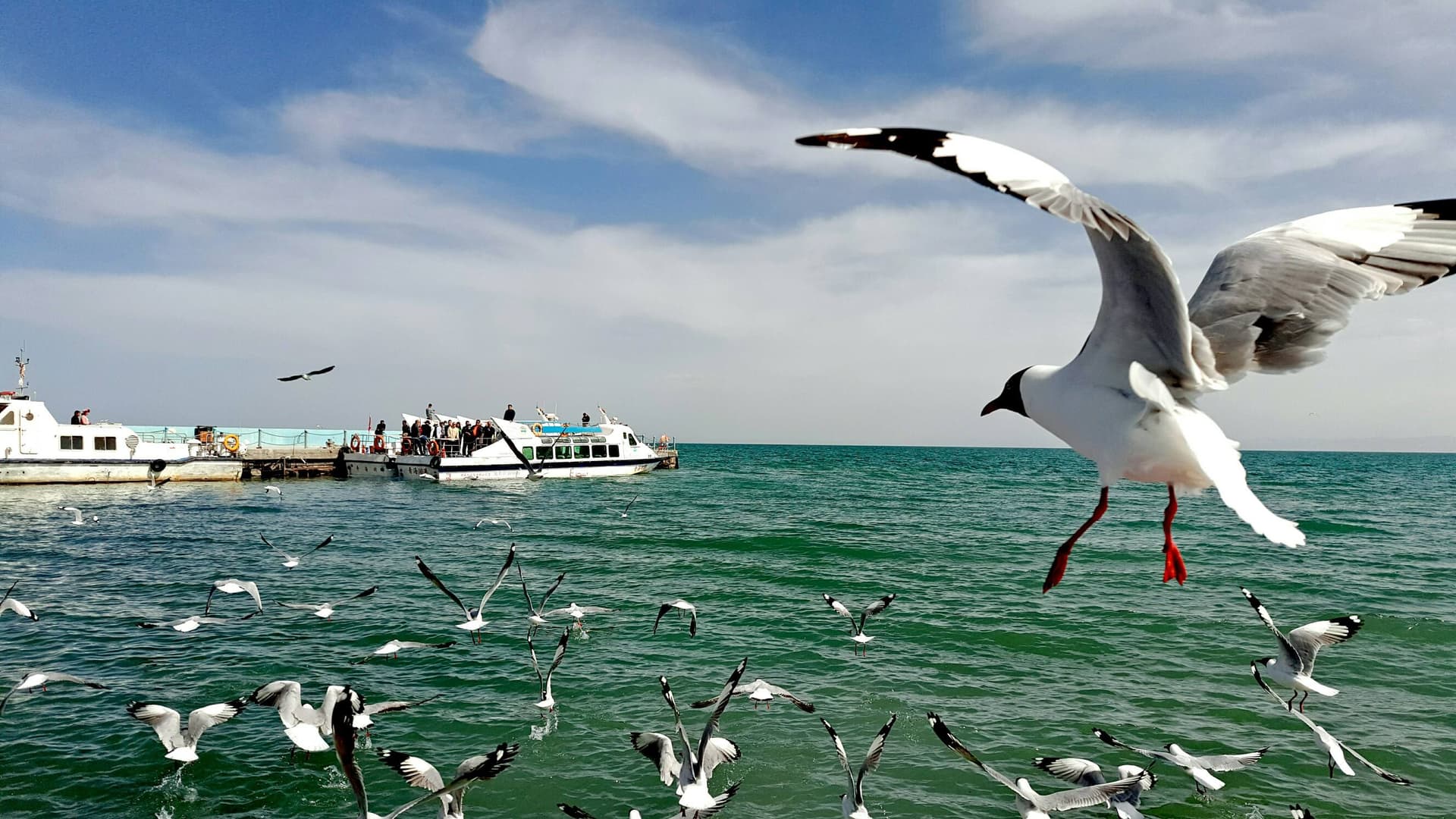Qinghai Lake