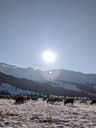 Hedin in Xinjiang