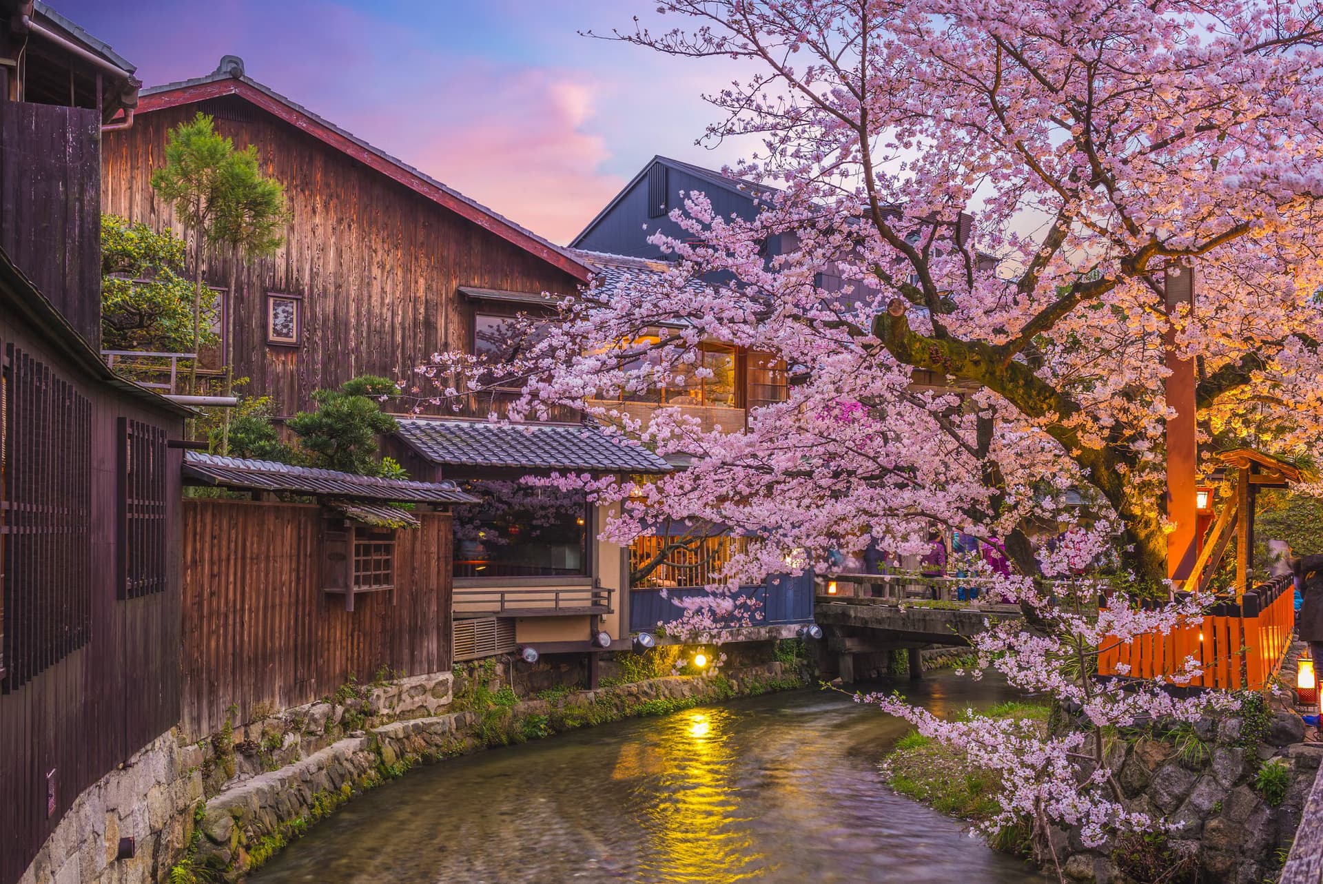 Kyoto6