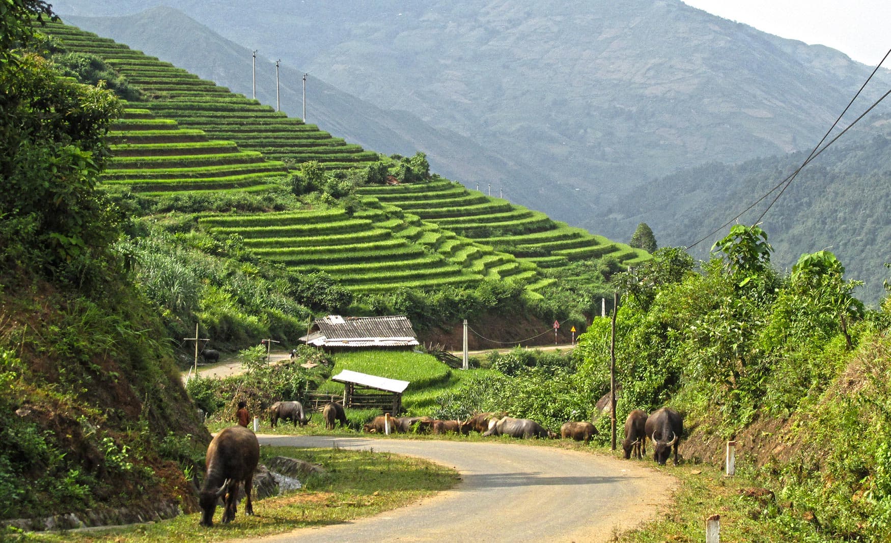 Lao Cai 2