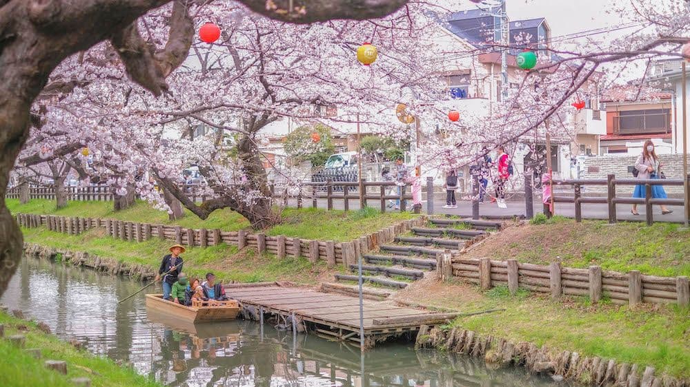 Kawagoe1