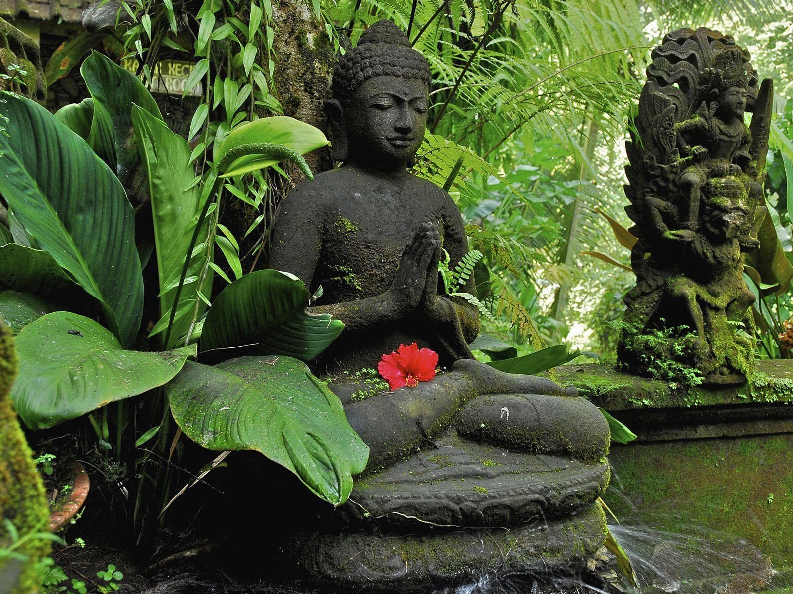 Ubud 7