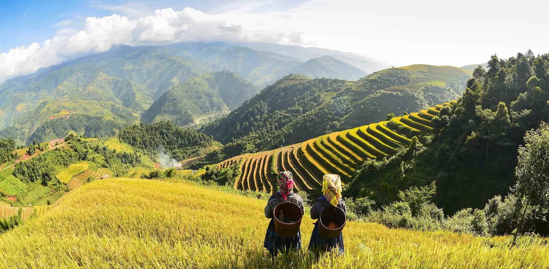 Lao Cai 4