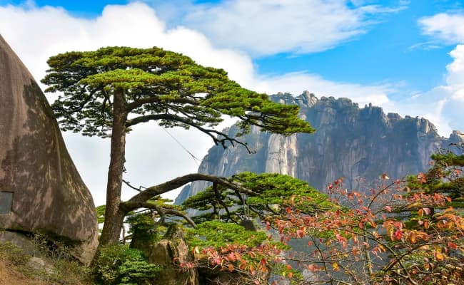 Huangshan1