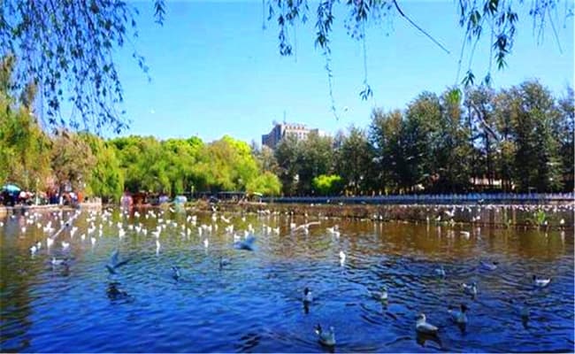 Kunming1