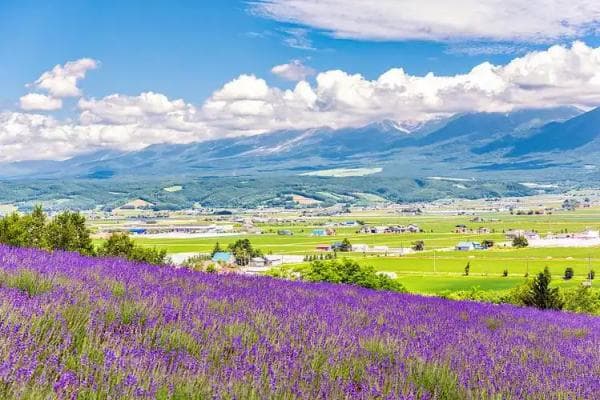 北海道.jpg