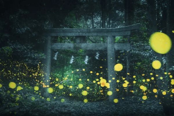 萤火虫.png