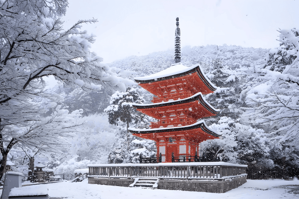 jd雪.png