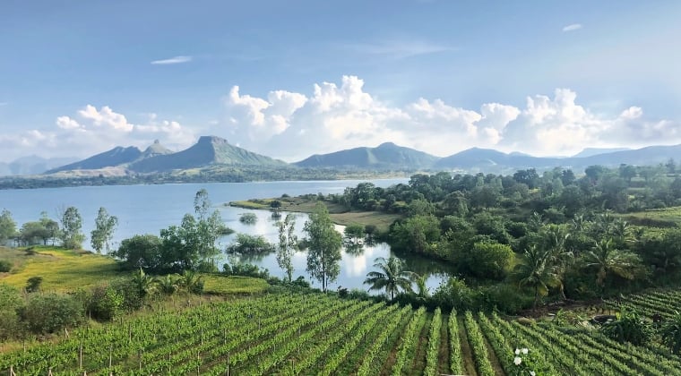 Vallanne-Pune--scaled