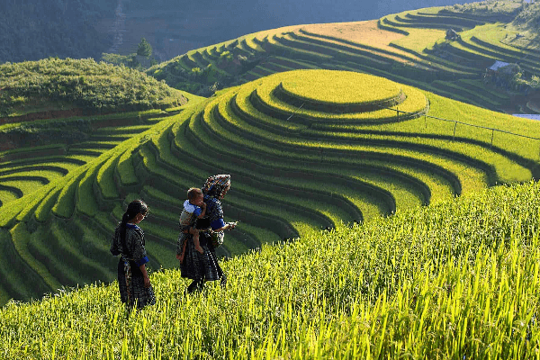 Highlights-of-Lao-Chai-Village