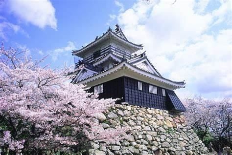 Hamamatsu