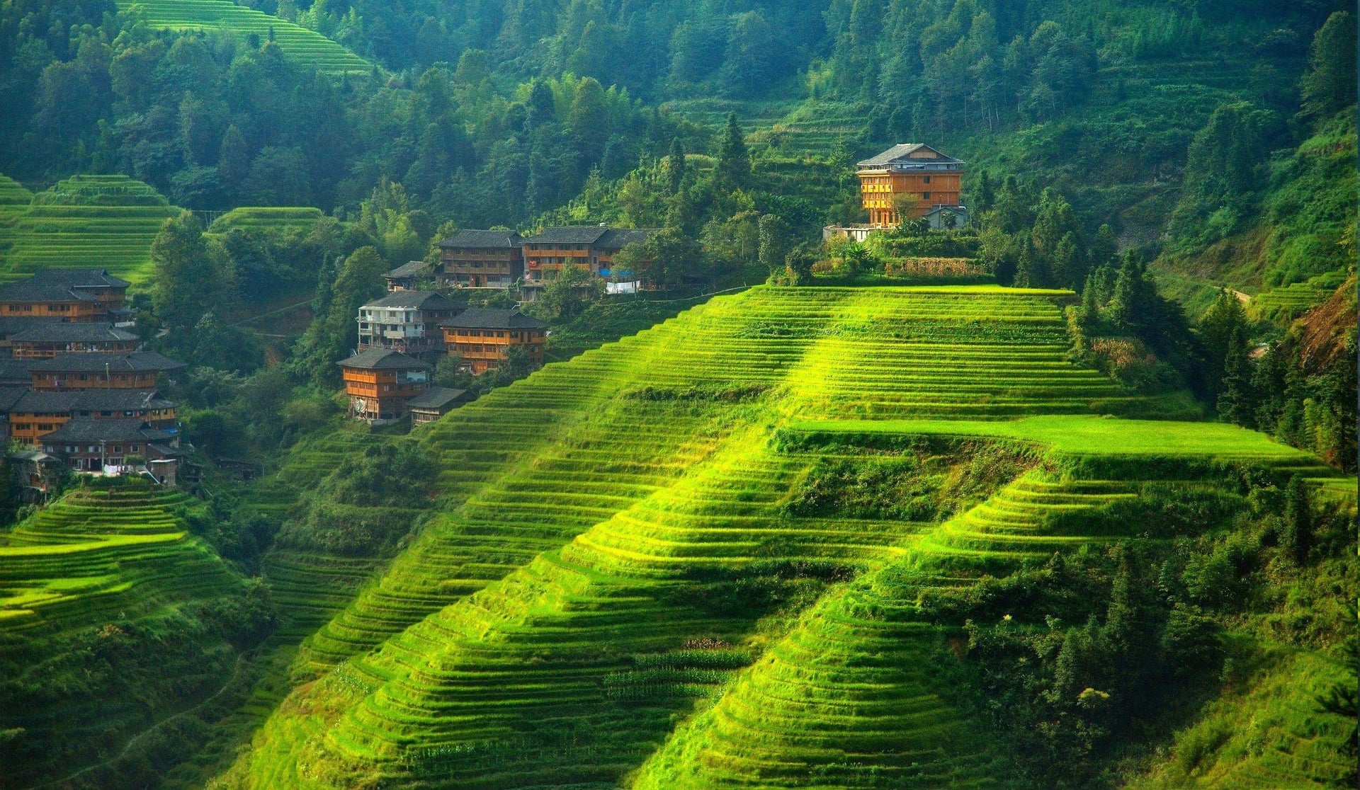 China 7