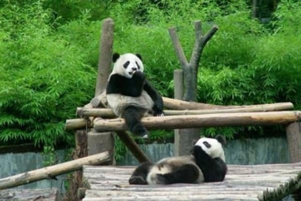Chengdu