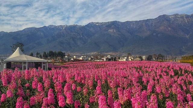 Yunnan 1