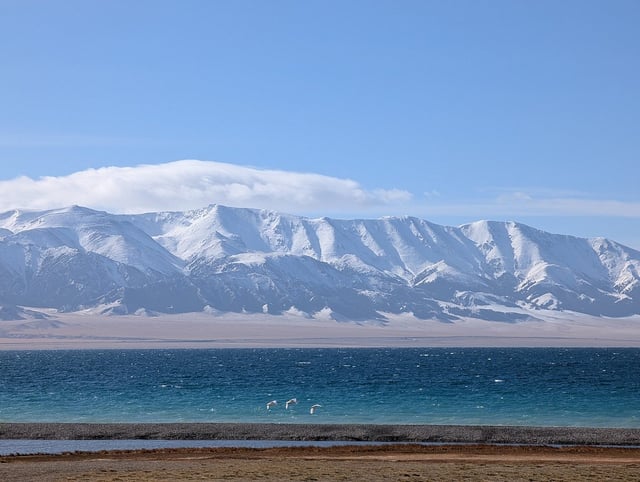 Post image 1
