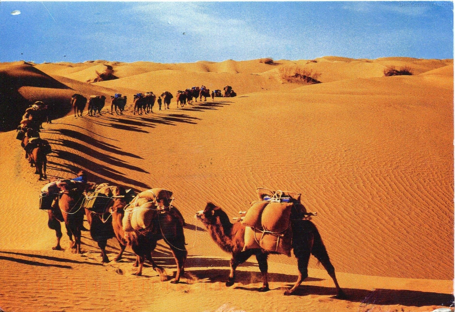Xinjiang 5