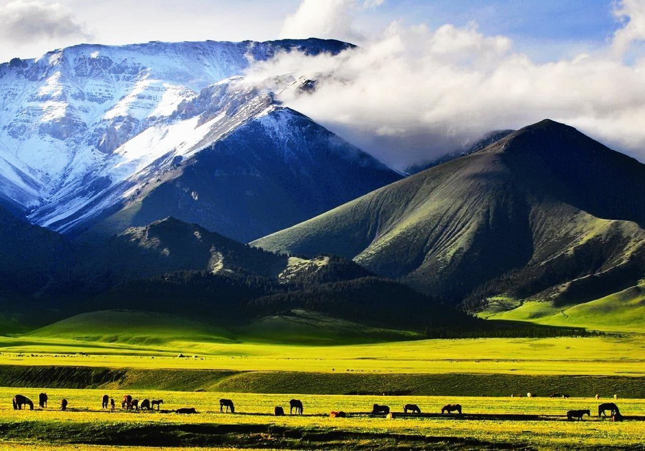 Xinjiang 1