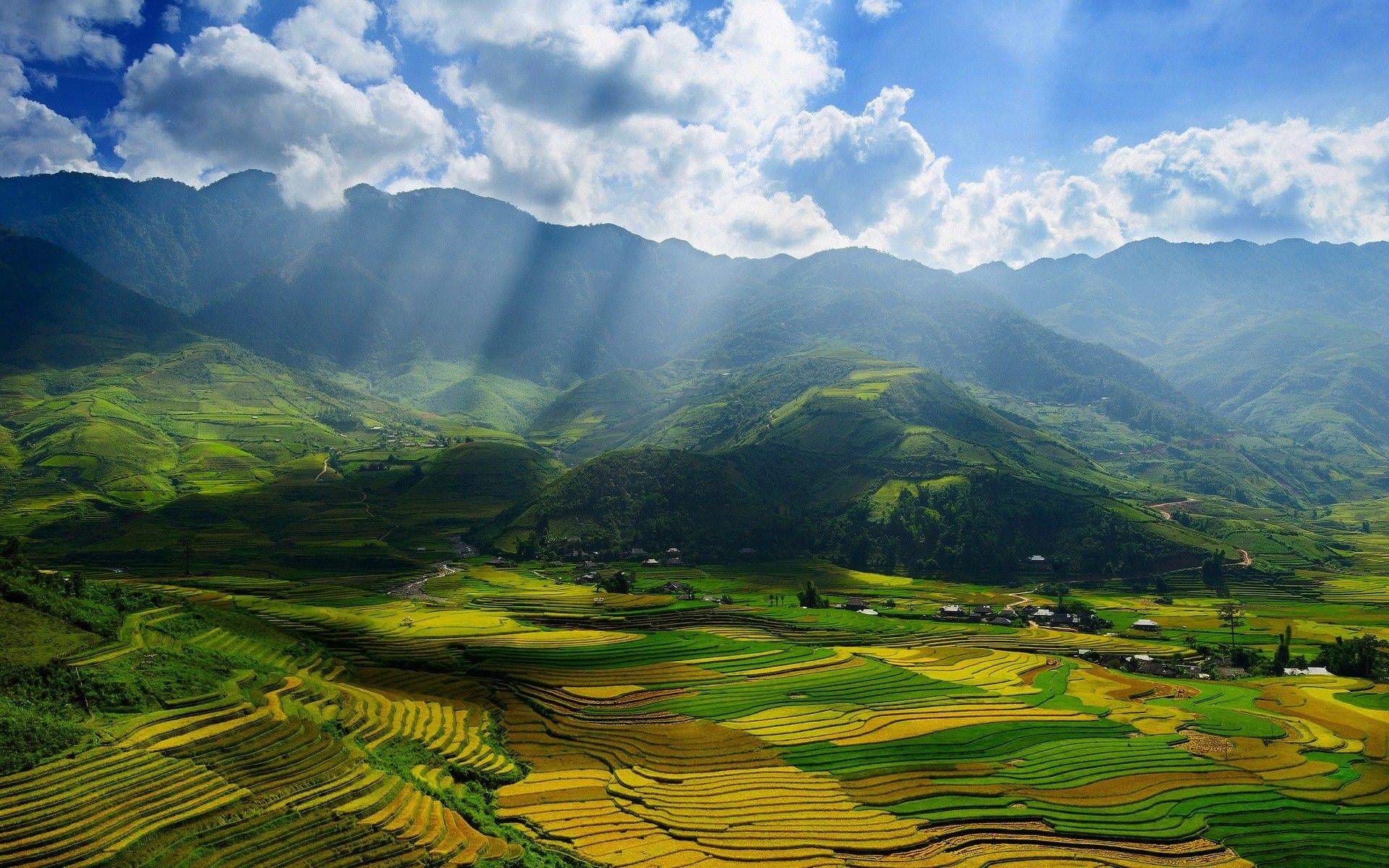 Vietnam 4