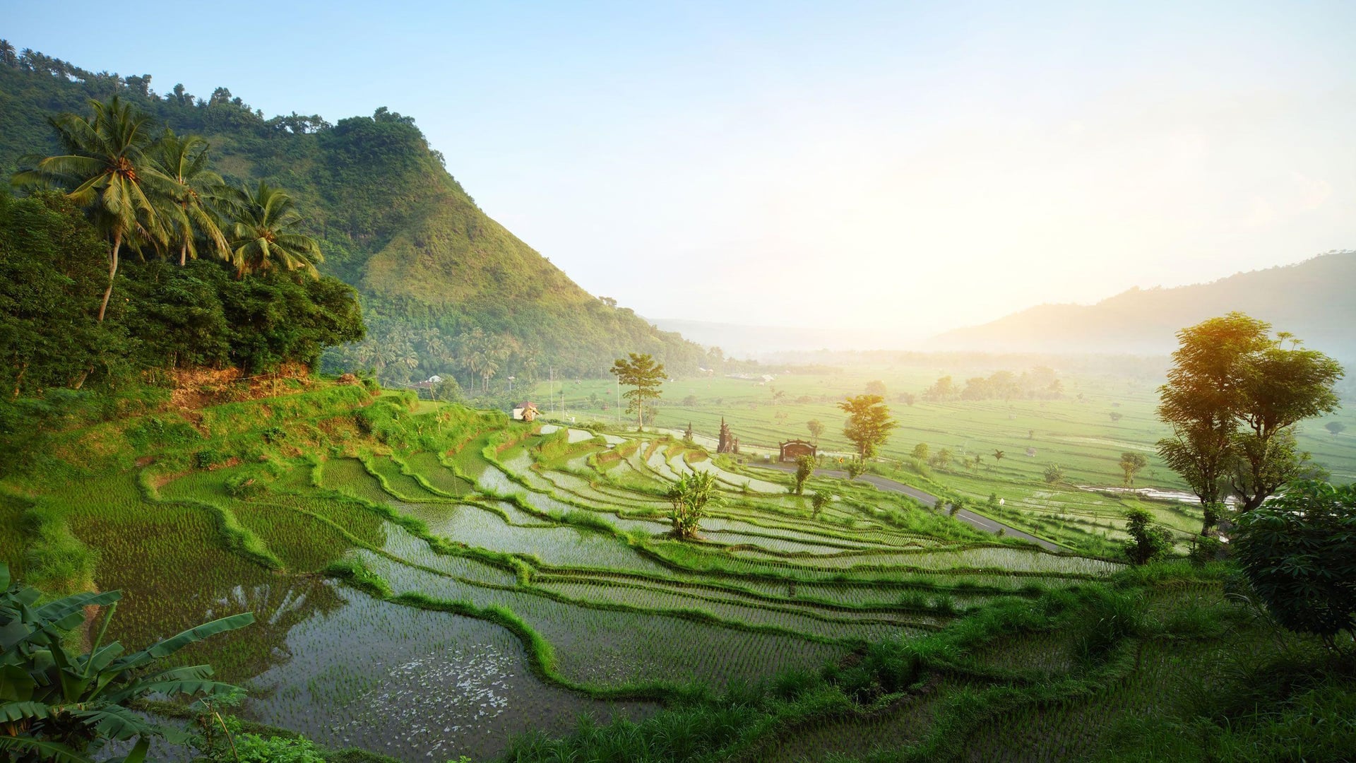 Ubud 1