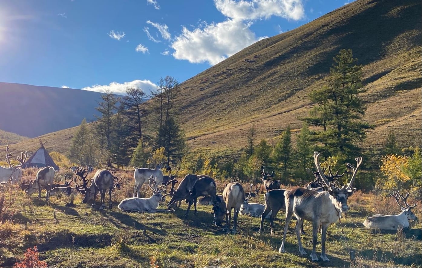 Mongolia 9
