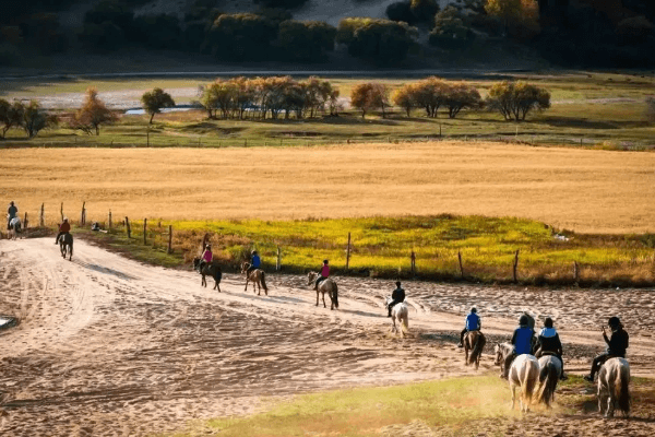 horse-riding horse-riding