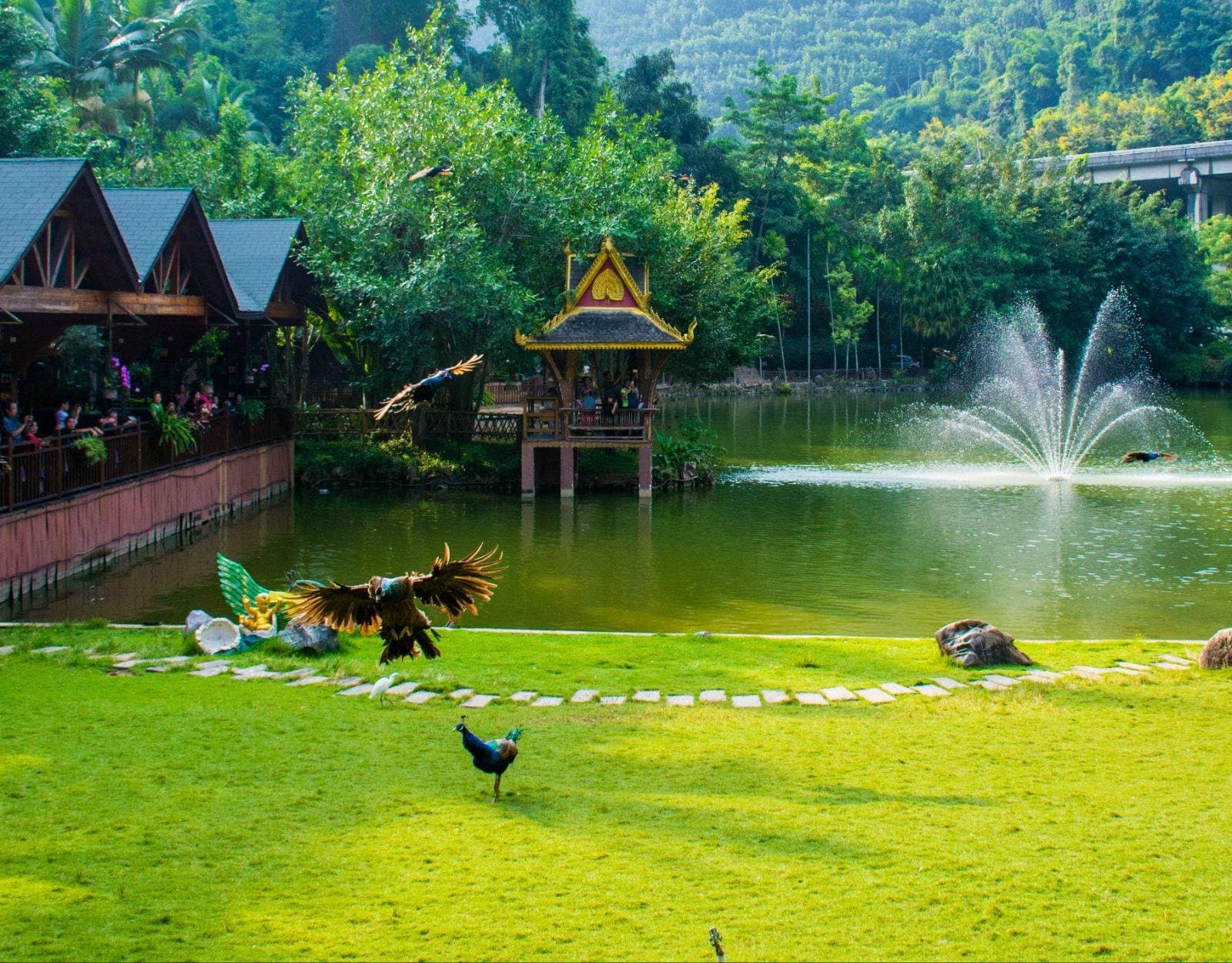 Xishuangbanna 3 Xishuangbanna 3