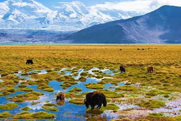 kashgar-city-tour1 kashgar-city-tour1