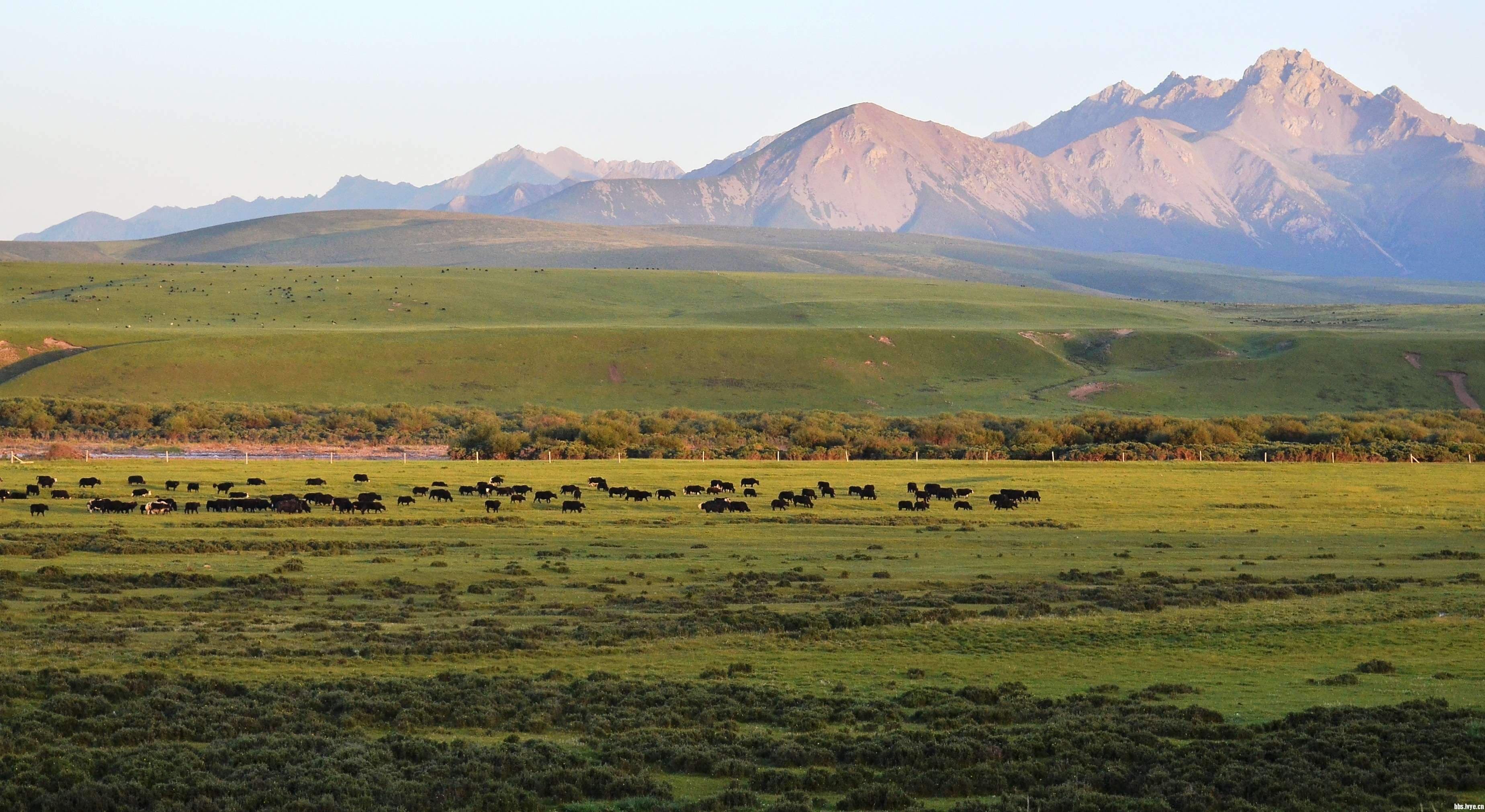 gansu-tour gansu-tour
