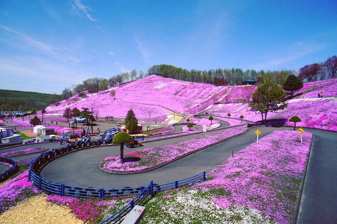 Asahikawa1 Asahikawa1