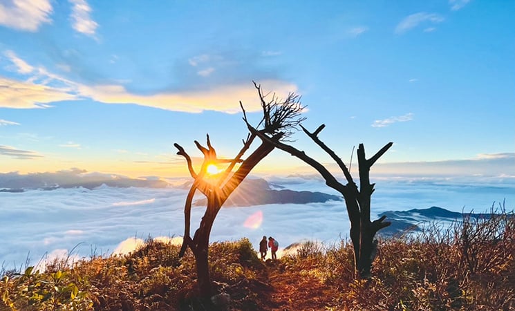 Lao Than 5 Lao Than 5