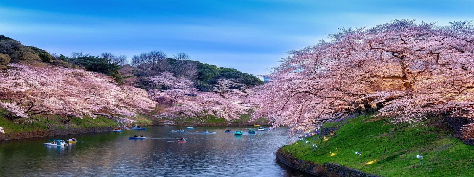 Spring