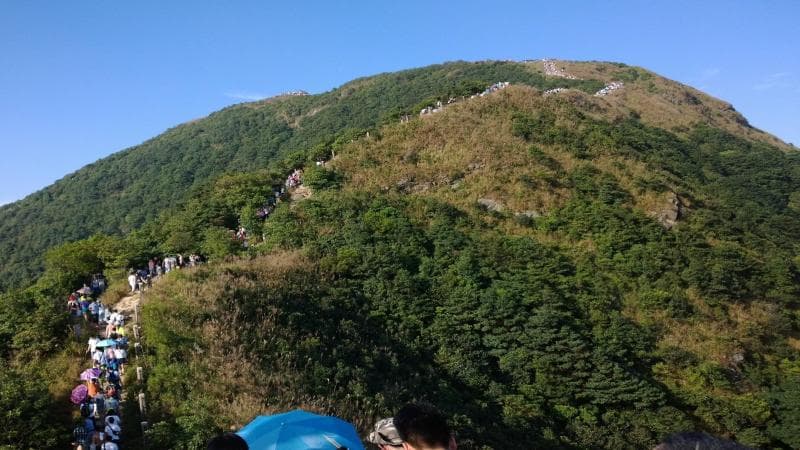 685927c3d957c.jpg 重阳节.jpg