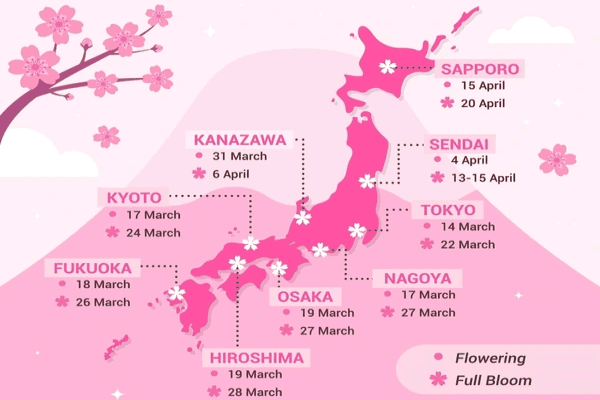 68675155e3e44.png 樱花地图.png