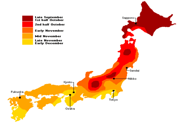 68679d90023ce.png 秋天地图.png